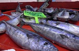 Denizde bolluk, tezgâhta kıtlık