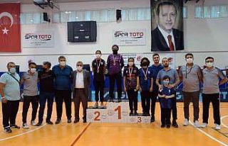 Denizlili dartçılar 14 madalya kazandı