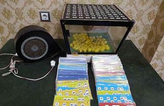 Dernek lokallerinde kumar oynayan 98 kişiye 130 bin...