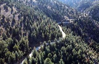 Develi - Adana bağlantı yolunda sona gelindi