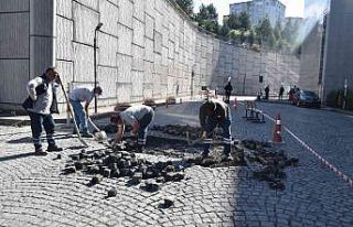 Devlet hastanesi acil yolu elden geçiyor
