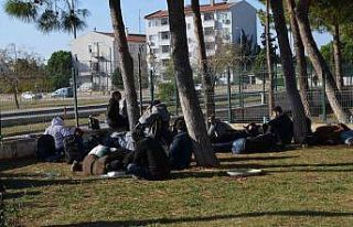 Didim’de 75 göçmen yakalandı