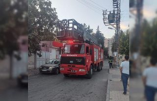 Direğin tepesinde mahsur kalan kedi kurtarıldı