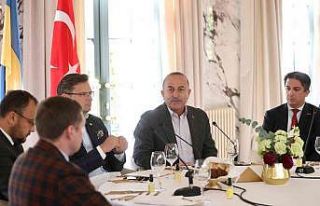 Dışişleri Bakanı Çavuşoğlu, Türk ve Ukraynalı...