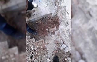 Diyarbakır’da iş makinalı kedi kurtarma operasyonu