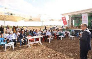 Diyarbakır’da soya hasadı
