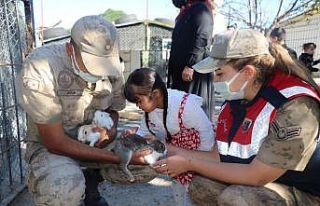 Down sendromlu çocukların hayvan ilgisi