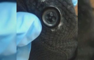 Düğme görünümlü kamera ile ehliyet sınavına...