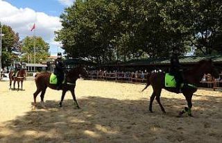 Dünya Hayvanları Koruma Gününe atlı polisler...