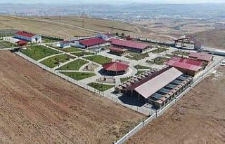 Dünyaca ünlü Kangallar bu tesiste korunuyor