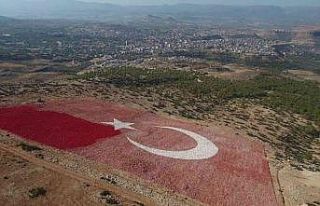 Dünyanın en büyük bayrağı boyanıyor