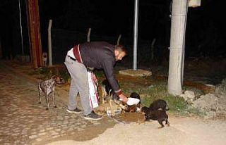 Duyarlı gençler, sokak hayvanlarını unutmadı