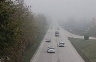 Düzce güne sisle uyandı