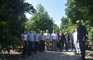 Efeler’de katma değeri yüksek ürünler yetişecek