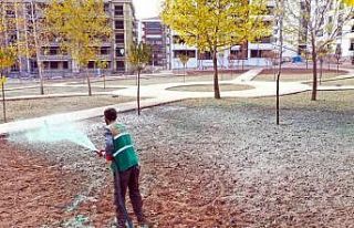 Elazığ Belediyesinden soğuğa dayanıklı yeşillendirme...