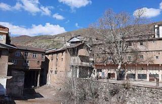 Elazığ’da bulunan 115 yıllık ‘Dua çınarı’...