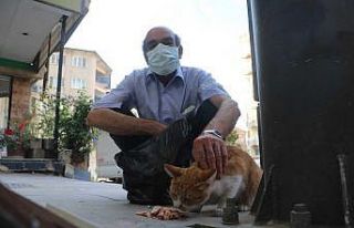 Emekli maaşıyla 200 kediyi besliyor