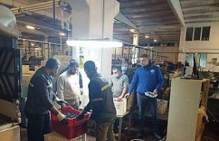 Erdek’te zeytin alımları başladı