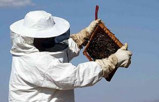 Erzincan’da arıların "tatlı uykusu"...