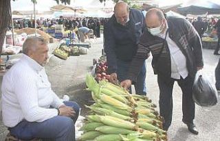 Erzincan’da süt mısır tezgâhlardaki yerini aldı