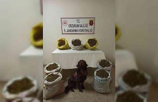 Erzurum’da 45 kilogram kubar esrar ele geçirildi