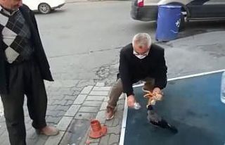 Esenyurt’ta vatandaş ile karganın dostluğu tebessüm...