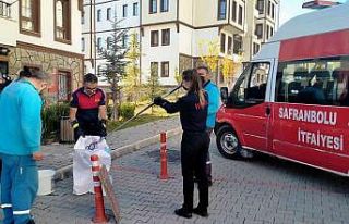 Eve giren yılanı kadın itfaiye eri çıkarttı