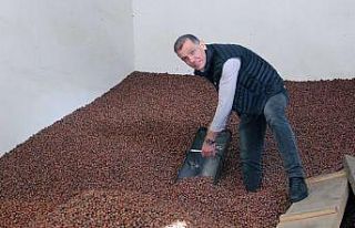 Fındık üreticide 24, rafta 80 lira