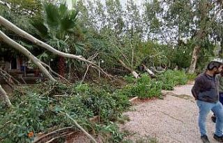 Fırtına Milas’ta da etkili oldu