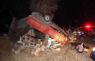 Freni boşalarak şarampole devrilen kamyon ağaçta...