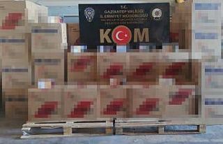 Gaziantep merkezli 4 ilde makaron operasyonu