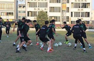 Genç horozlar hazırlıklarını sürdürdü