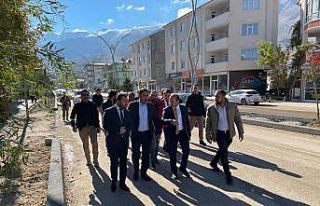 Genel Sekreter Çelikel, Gevaş ilçesindeki cadde...