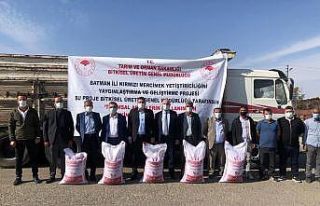 Gercüş’te çiftçilere mercimek tohumu dağıtıldı