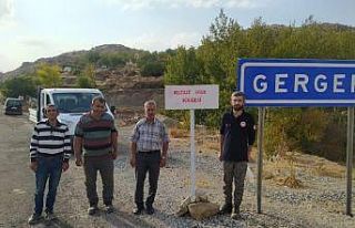 Gerger’de 2. kuduz vakası