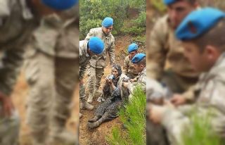 Gönen’de 2 gündür kayıp Alzheimer hastası kadın...