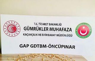 Gümrük kapılarında kaçakçılığa geçit yok