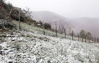Gümüşhane’nin yükseklerinde kar yağışı başladı