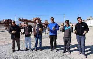 Günyüzü kantarı şeker pancarı sezonuna hazır