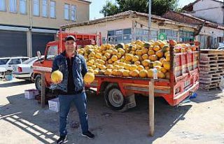 Günyüzü’nün meşhur ’Düvelek’ kavunu tezgahlarda...