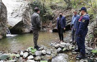 Gürleyik şelalesi turizme kazandırılacak