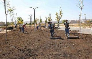 Haliliye’de yeşil alan sayısı artıyor
