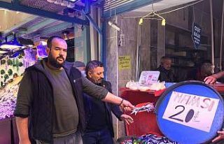 Hamsi hariç bütün balık çeşitlerinde fiyat artışı...