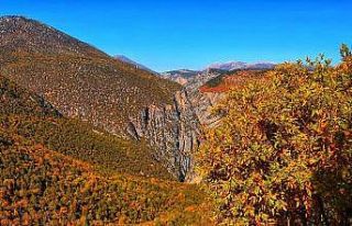 Hançer Kanyonunda sonbahar şöleni