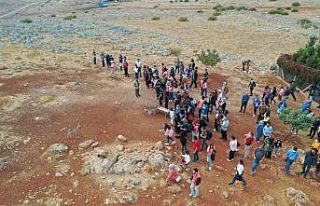 Hatay’da dağ ceylanlarına ayda iki bin ziyaretçi