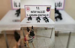 Hatay’da traktörün römorkunda 8 kaçak silah...