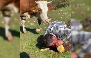 Hayat öpücüğüne rağmen kurtarılamadı