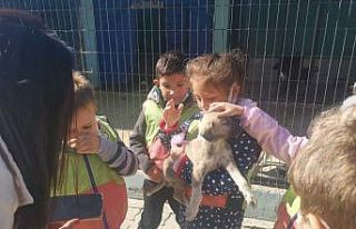 Hayvan Bakımevi genç ve minik hayvanseverleri ağırladı
