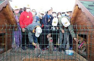 “Hayvan beslemek merhamet duygunuzu geliştirir”