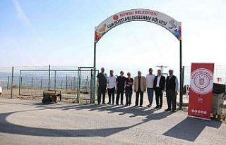 Hayvan dostu şehir; Gürsu